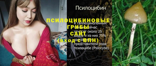 круглые Абаза