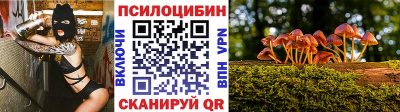 продажа наркотиков  blacksprut ТОР  Псилоцибиновые грибы прущие грибы  Никольское 