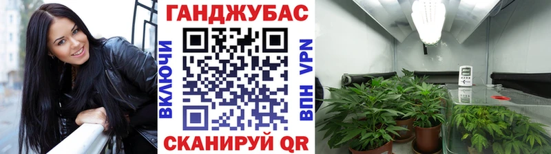 закладка  Никольское  МАРИХУАНА Amnesia 